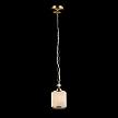 Купить Подвесной светильник Maytoni Sherborn F016-11-G