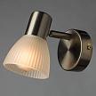 Купить Спот Arte Lamp Parry A5062AP-1SS