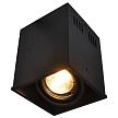 Купить Потолочный светильник Arte Lamp Cardani A5942PL-1BK