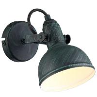 Купить Спот Arte Lamp Martin A5213AP-1BG