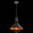 Купить Подвесной светильник Arte Lamp Warhol A5050SP-1BG