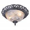 Купить Потолочный светильник Arte Lamp Piatti A8001PL-2SB
