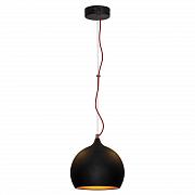 Купить Подвесной светильник Lussole Loft GRLSN-6116-01