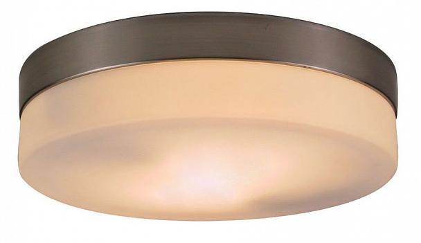 Купить Потолочный светильник Globo Opal 48402