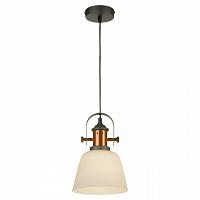 Купить Подвесной светильник Lussole Loft LSP-9846