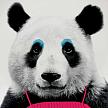 Купить Тарелка wild dining панда