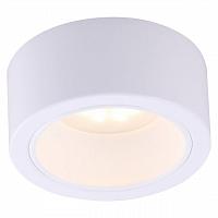 Купить Потолочный светильник Arte Lamp Effetto A5553PL-1WH