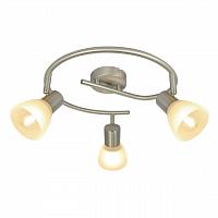 Купить Спот Arte Lamp Parry A5062PL-3SS