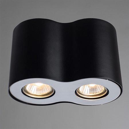 Купить Потолочный светильник Arte Lamp Falcon A5633PL-2BK