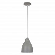 Купить Подвесной светильник Arte Lamp Braccio A2054SP-1GY