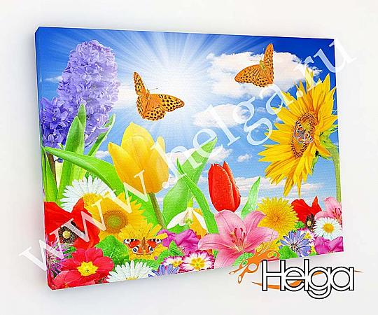 Купить Бабочки в цветах арт.ТФХ3351 v4 фотокартина (Размер R3 60х80 ТФХ)