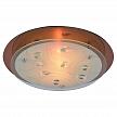 Купить Потолочный светильник Arte Lamp A4043PL-2CC
