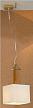 Купить Подвесной светильник Lussole Montone LSF-2516-01