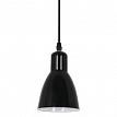 Купить Подвесной светильник Arte Lamp 48 A5049SP-1BK