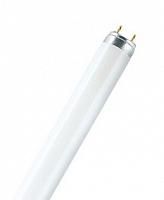Купить Лампа люминесцентная для растений OSRAM FLUORA T8 - 36W/77 1400lm G13