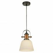 Купить Подвесной светильник Lussole Loft GRLSP-9846