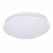 Купить Потолочный светодиодный светильник F-Promo Ledante 2469-2C