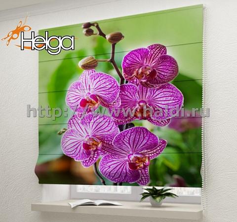 Купить Розовые орхидеи арт.ТФР3644 v4 римская фотоштора (Шифон 3v 100х160 ТФР)