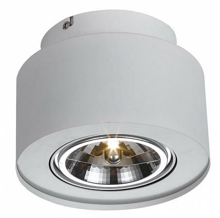 Купить Потолочный светильник Arte Lamp Cliff A5643PL-1WH