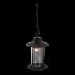 Купить Уличный подвесной светильник ST Luce Lastero SL080.403.01