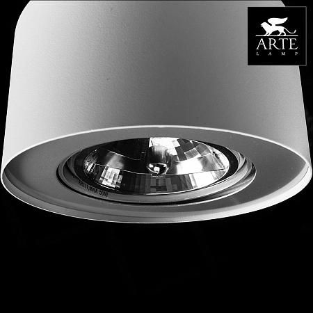 Купить Потолочный светильник Arte Lamp Cliff A5643PL-1WH