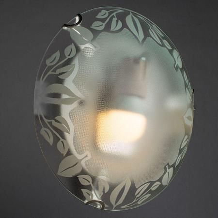 Купить Настенный светильник Arte Lamp Leaves A4020PL-3CC