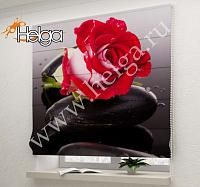 Купить Алая роза арт.ТФР4795 римская фотоштора (Шифон 1v 60x160 ТФР)