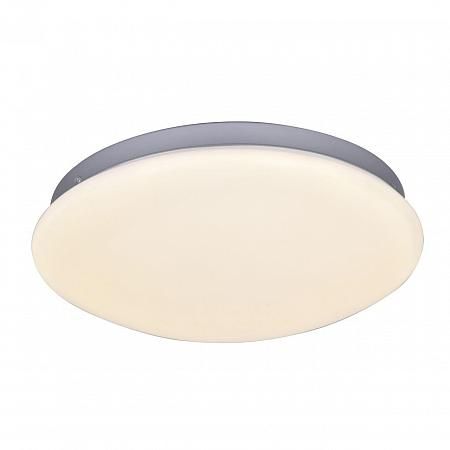 Купить Потолочный светодиодный светильник F-Promo Ledante 2467-2C