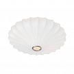 Купить Потолочный светильник Arte Lamp Cocoon A6090PL-2WH