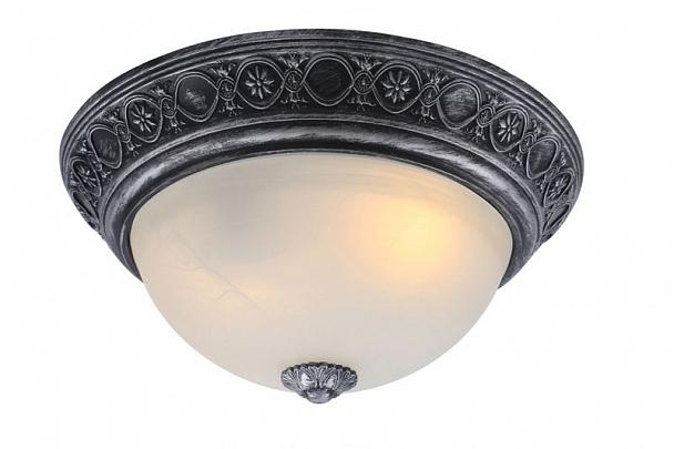 Купить Потолочный светильник Arte Lamp Piatti A8009PL-2SB