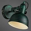 Купить Спот Arte Lamp Martin A5213AP-1BG