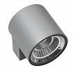 Купить Уличный настенный светодиодный светильник Lightstar Paro 360694