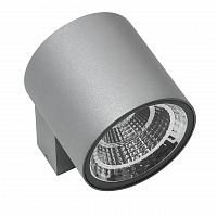 Купить Уличный настенный светодиодный светильник Lightstar Paro 360694