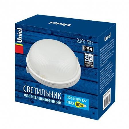 Купить Потолочный светильник (UL-00006771) Uniel UWL-R01 100W/E27 IP54 White