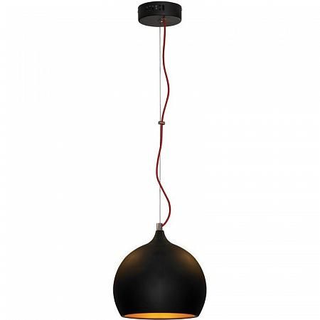 Купить Подвесной светильник Lussole Loft LSN-6116-01