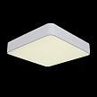Купить Потолочный светодиодный светильник ST Luce Presente SL955.502.01