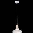 Купить Подвесной светильник Maytoni Ola P016PL-01W