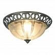 Купить Потолочный светильник Arte Lamp 16 A1306PL-2AB