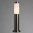 Купить Уличный светильник Arte Lamp 68 A3158PA-1SS
