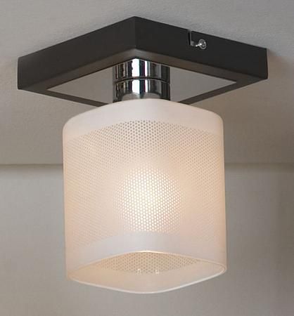 Купить Потолочный светильник Lussole Costanzo LSL-9007-01