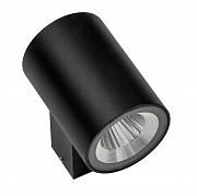 Купить Уличный настенный светодиодный светильник Lightstar Paro 351674