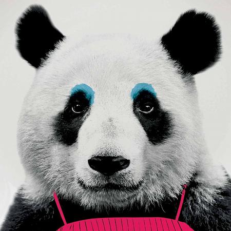 Купить Тарелка wild dining панда