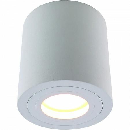 Купить Потолочный светильник Divinare Galopin 1460/03 PL-1