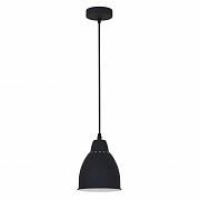 Купить Подвесной светильник Arte Lamp Braccio A2054SP-1BK
