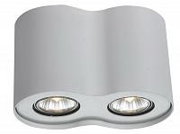 Купить Потолочный светильник Arte Lamp Falcon A5633PL-2WH
