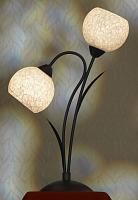 Купить Настольная лампа Lussole Bagheria LSF-6294-02