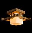 Купить Потолочный светильник Arte Lamp 95 A8252PL-1BR