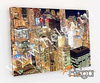 Купить Вид на Чикаго с небоскреба арт.ТФХ3151 фотокартина (Размер R2 50х70 ТФХ)