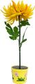 Купить Светильник садово-парковый на солнечной батарее "Хризантема в горшке", оранжевый, 1 LED (белый), H 35cм , PL309