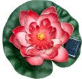 Купить Светильник садово-парковый на воду на солнечной батарее "Кувшинка" красный, 1 RGB LED,  170*170*60мм, PL263
